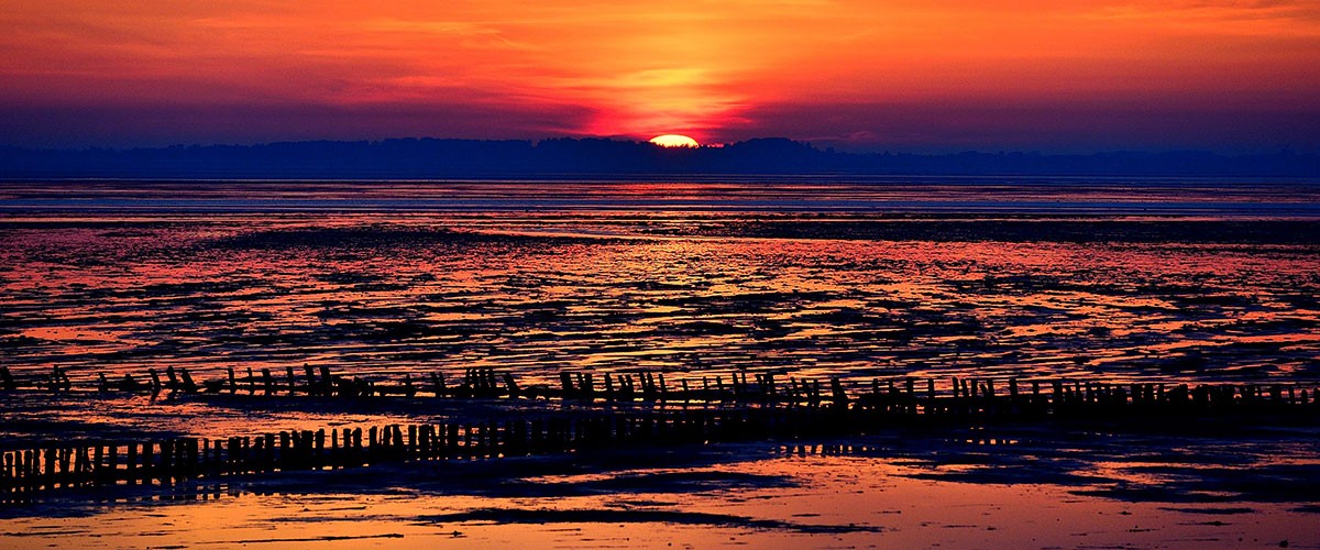 Sonnenuntergang über dem Watt mit Reihen von Buhnen