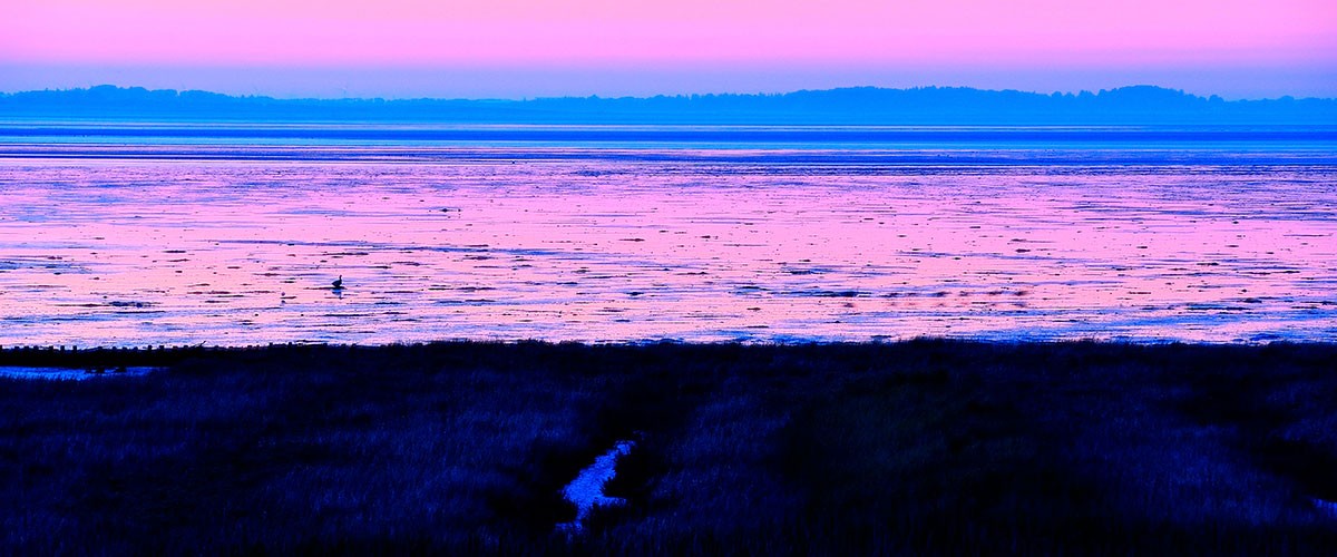 Watt im violetten Licht nach Sonnenuntergang